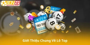 Giới Thiệu Chung Về Lô Top